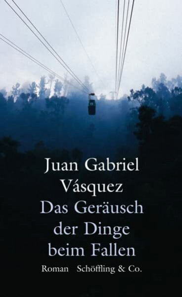 Das Geräusch der Dinge beim Fallen: Ausgezeichnet mit dem Premio Alfaguara de novela 2014 und dem International IMPAC Dublin Literary Award 2014. Roman