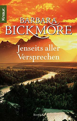 Droemer Knaur Jenseits Aller Versprechen, Roman