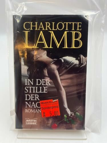 In der Stille der Nacht (Allgemeine Reihe. Bastei Lübbe Taschenbücher)