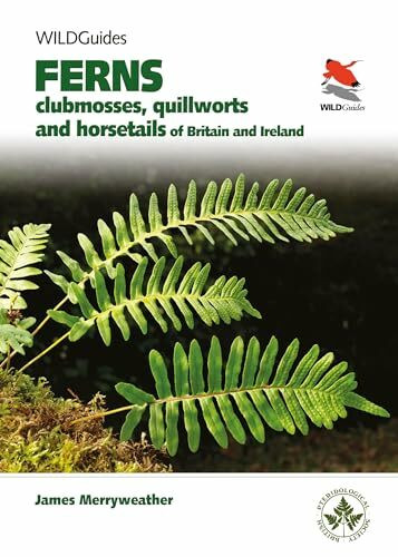 Britain's Ferns: A Field Guide to the Clubmosses, Quillworts, Horsetails and Ferns of Great Britain and Ireland (Wildguides)