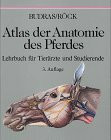 Atlas der Anatomie des Pferdes: Lehrbuch für Tierärzte und Studierende