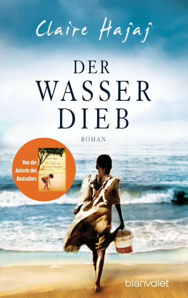 Der Wasserdieb: Roman