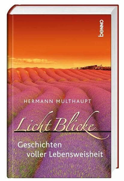 Licht Blicke: Geschichten voller Weisheit: Geschichten voller Lebensweisheit