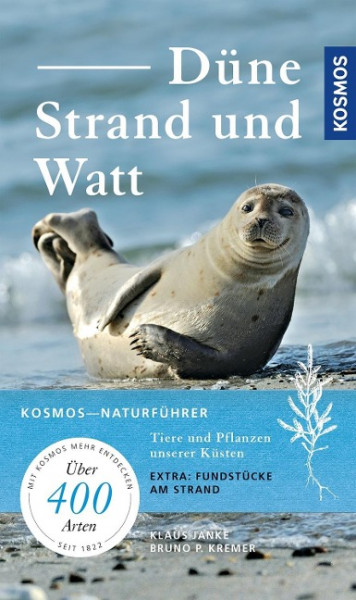 Düne, Strand und Watt