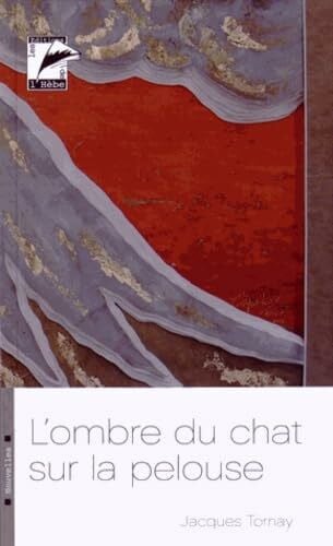 L'ombre du chat sur la pelouse