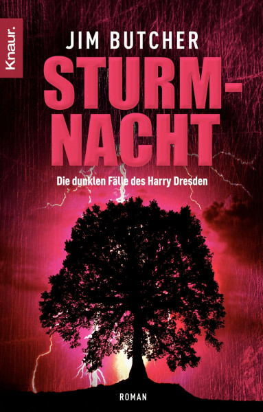 Sturmnacht: Die dunklen Fälle des Harry Dresden