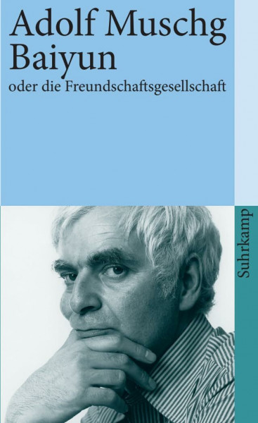 Baiyun oder die Freundschaftsgesellschaft: Roman (suhrkamp taschenbuch)
