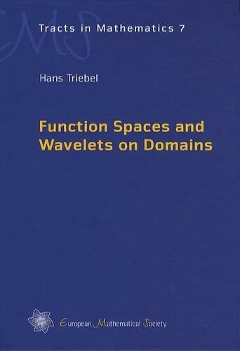 Function Spaces and Wavelets on Domains (EMS tracts in mathematics, vol.7)