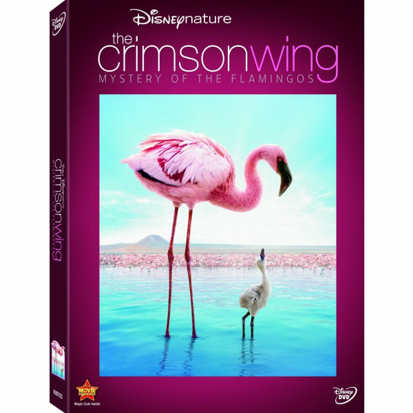 Disneynature: Crimson Wing - Mystery Of Flamingo [DVD] [Region 1] [NTSC] [US Import]