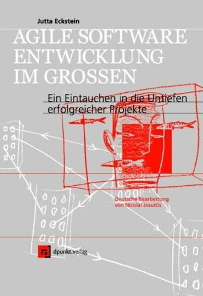 Agile Softwareentwicklung im Grossen: Ein Eintauchen in die Untiefen erfolgreicher Projekte