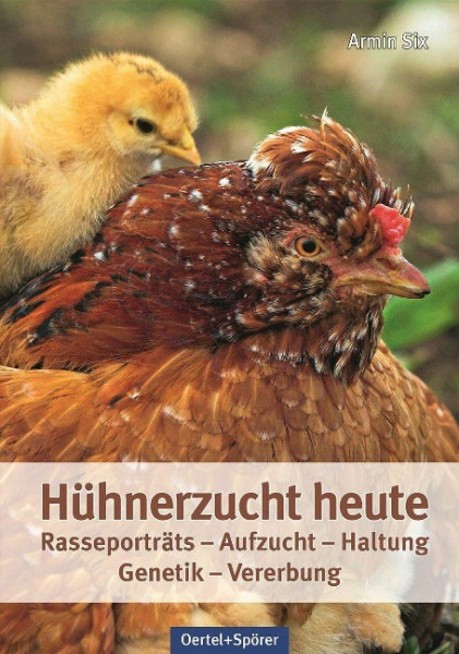 Hühnerzucht heute