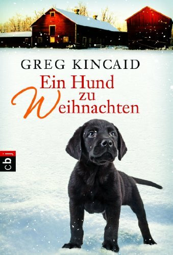 cbj Ein Hund Zu Weihnachten