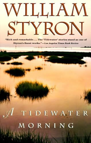 A Tidewater Morning: Three Tales from Youth (Vintage International)