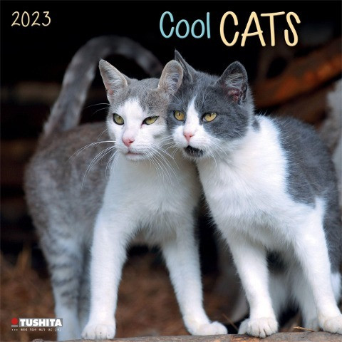 Cool Cats 2023