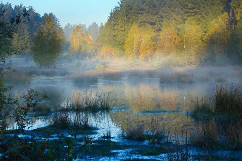 Faszination Burgwald