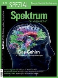Spektrum Spezial - Das Gehirn