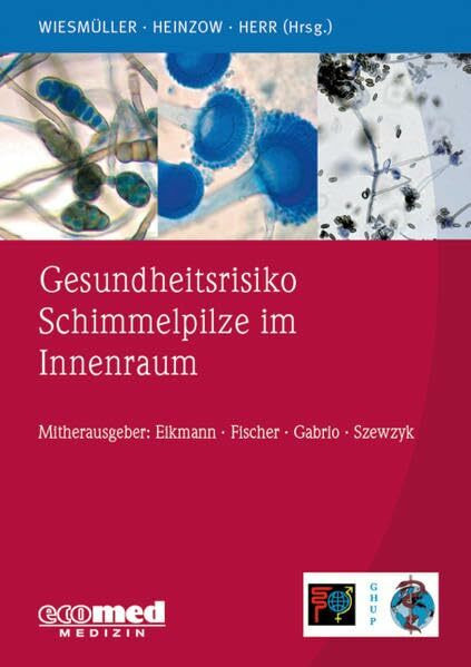 Gesundheitsrisiko Schimmelpilze im Innenraum