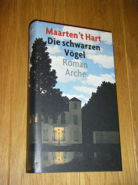 Die schwarzen Vögel: Roman