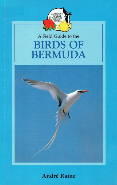 A Field Guide to the Birds of Bermuda (Caribbean Pocket Natural History)