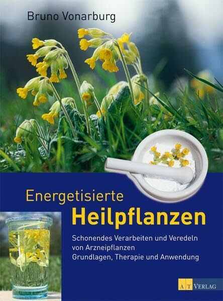Energetisierte Heilpflanzen: Schonendes Verarbeiten und Veredeln von Arzneipflanzen Grundlagen, Therapie und Anwendung