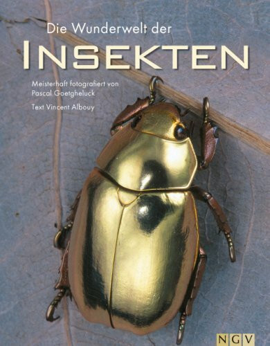 Die Wunderwelt der Insekten: Meisterhaft fotografiert von Pascal Goetgheluck