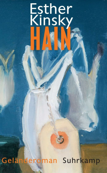 Hain: Geländeroman (suhrkamp taschenbuch)