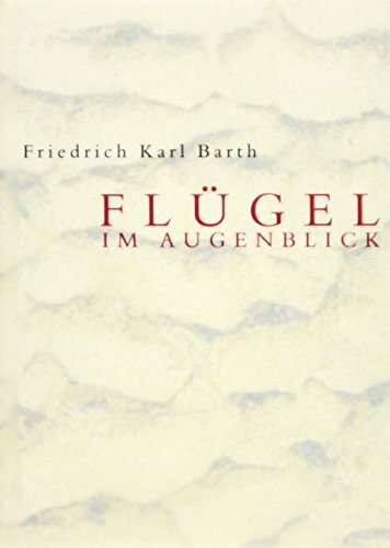 Flügel im Augenblick