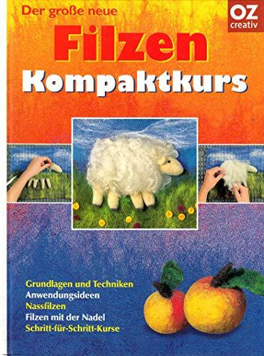 Der grosse neue Filzen Kompaktkurs: Grundlagen und Techniken, Anwendungsideen, Nassfilzen, Filzen mit der Nadel, Schritt-für-Schritt-Kurse