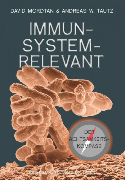 IMMUNSYSTEMRELEVANT: Der Achtsamkeits-Kompass