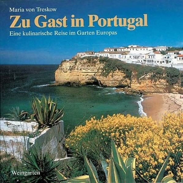 Visitor to Portugal
