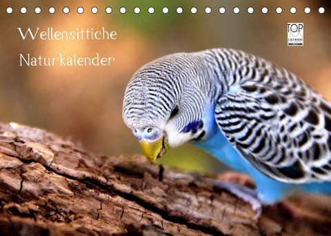 Wellensittiche - Naturkalender (Tischkalender 2022 DIN A5 quer)