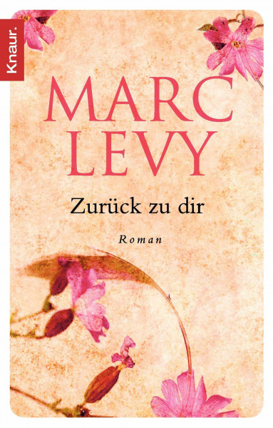 Zurück zu dir: Roman