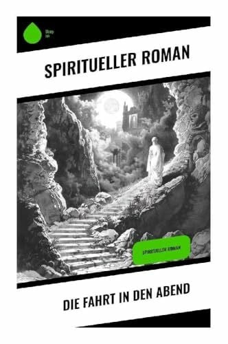 Die Fahrt in den Abend: Spiritueller Roman
