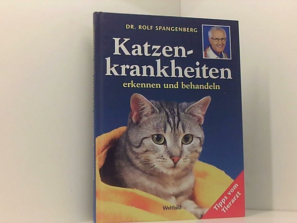 Katzenkrankheiten erkennen und behandeln