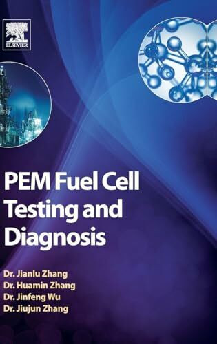 PEM Fuel Cell Testing and Diagnosis