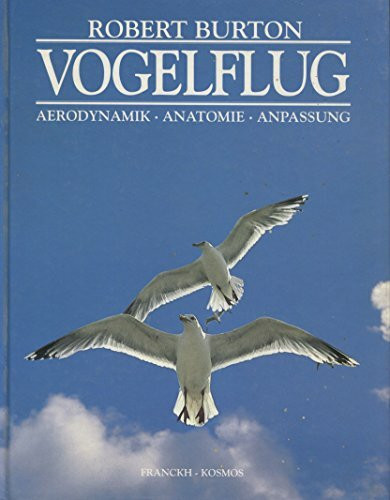 Vogelflug - Aerodynamik - Anatomie - Anpassung