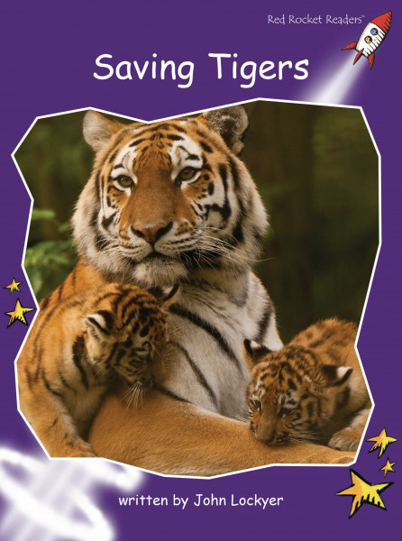 Saving Tigers: Fluency: Fluency Level 3 Non-Fiction Set B: Saving Tigers (Reading Level 19/F&P Level K) (Red Rocket Readers: Fluency Level 3)