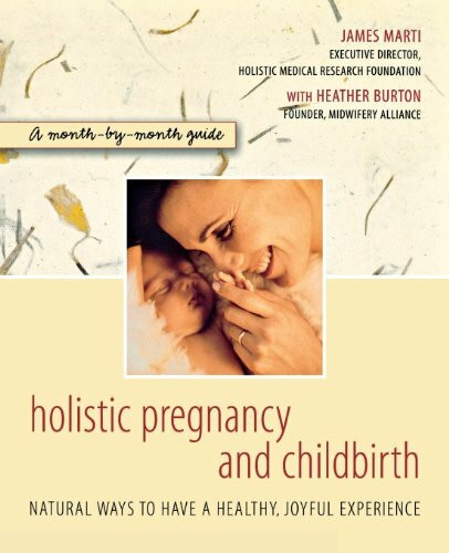 John Wiley & Sons Inc Holistic Pregnancy And Childbirth, A Month-by-month Guide