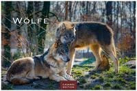 Wölfe 2022 - Format L