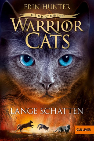 Warrior Cats Staffel 3/05. Die Macht der drei. Lange Schatten