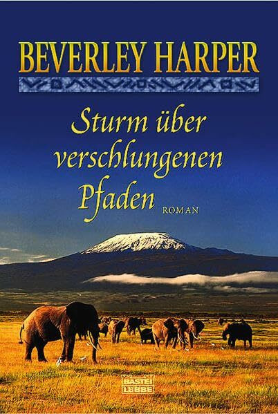 Sturm über verschlungenen Pfaden: Roman: Roman. Deutsche Erstausgabe (Allgemeine Reihe. Bastei Lübbe Taschenbücher)