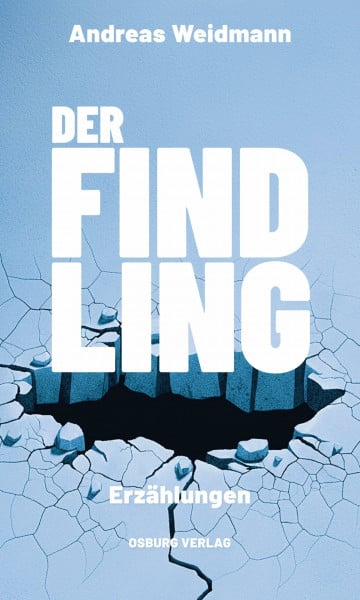 Der Findling: Erzählungen