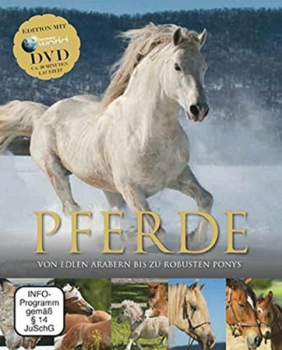 Pferde: Buch & DVD: Von edlen Arabern bis zu robusten Ponys