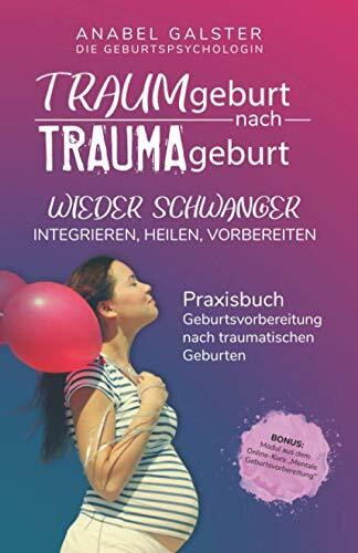 TRAUMgeburt nach TRAUMAgeburt: Wieder schwanger: integrieren, heilen, vorbereiten | Ein Praxisbuch zur Geburtsvorbereitung nach traumatischen Geburten