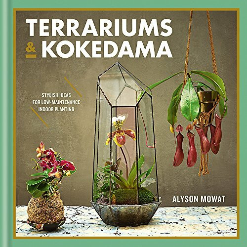 Terrariums & Kokedama: Stylish ideas for low-maintenance indoor planting