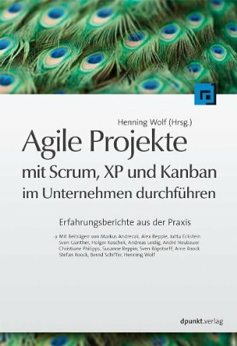 Agile Projekte mit Scrum, XP und Kanban im Unternehmen durchführen: Erfahrungsberichte aus der Praxis