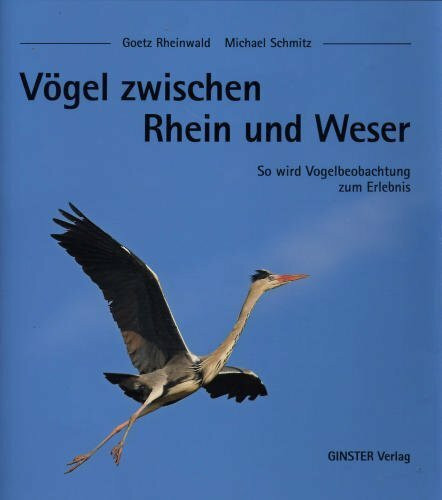 Vögel zwischen Rhein und Weser: So wird Vogelbeobachtung zum Erlebnis