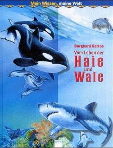 Vom Leben der Wale und Haie (Mein Wissen - meine Welt)