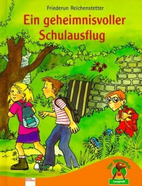 Ein geheimnisvoller Schulausflug (Edition Bücherbär)