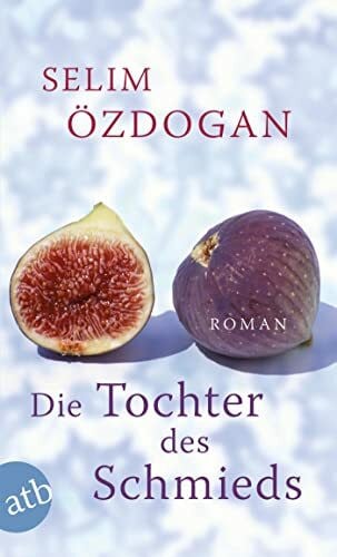 Die Tochter des Schmieds: Roman